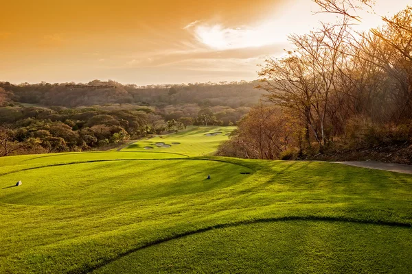 Golfbana — Stockfoto