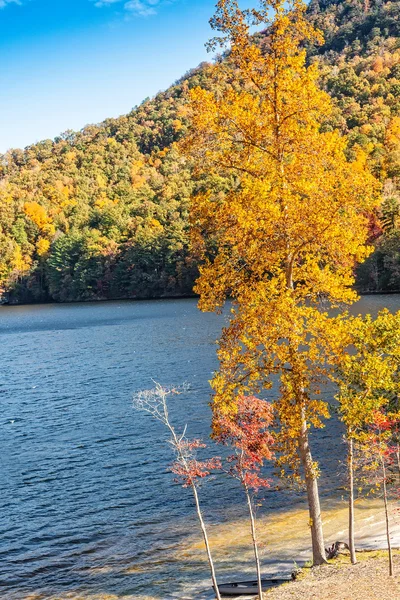 Otoño — Foto de Stock