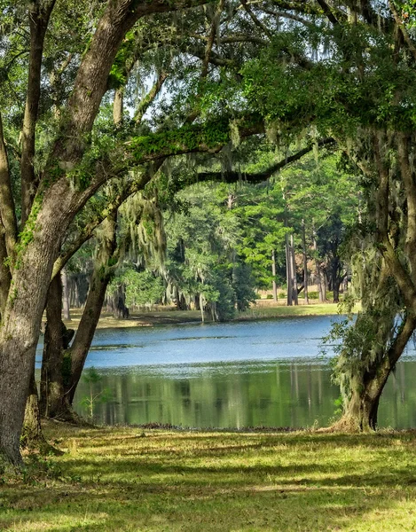 Lago do país — Fotografia de Stock