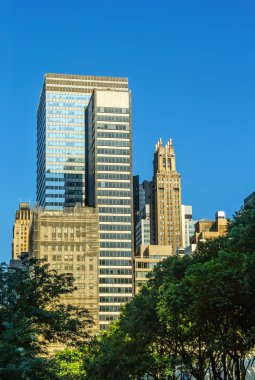 New York Şehri