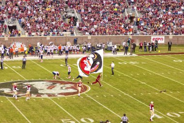 Florida state seminole futbol