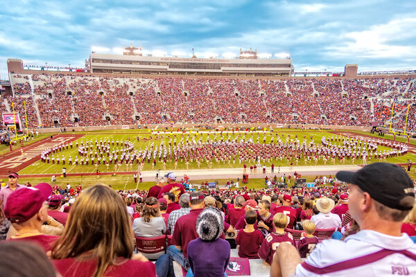 Семинол Флорида Стэйт
