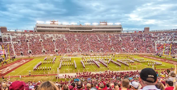 Florida State Seminole Football — Stock Photo, Image