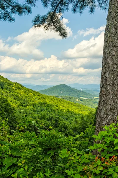 North Carolina — Stockfoto