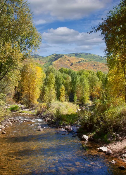 Река Красочный Пейзаж Задней Стране Колорадо — стоковое фото