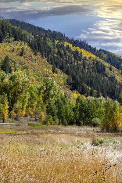 Altın Güneş Colorado Daki Tarlaların Çayırların Üzerinde Gökyüzünü Sarıyor — Stok fotoğraf