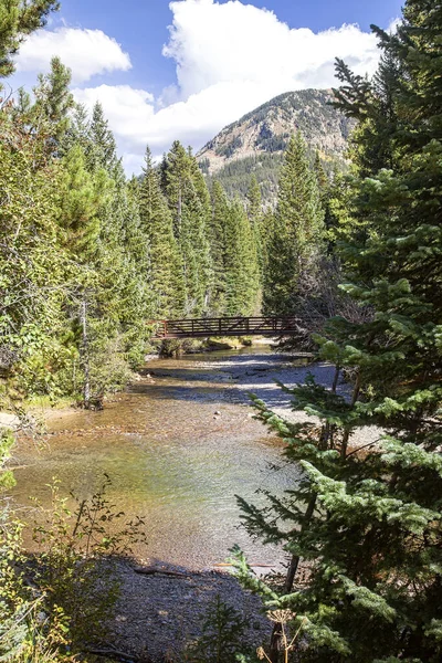 Skogsbevuxna Landskap Och Bron Över Rinnande Ström Colorado — Stockfoto
