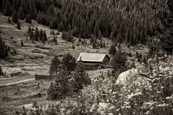 Black White Image Rocky Mountains Landscape Old Abandoned Barn — Stock Photo, Image