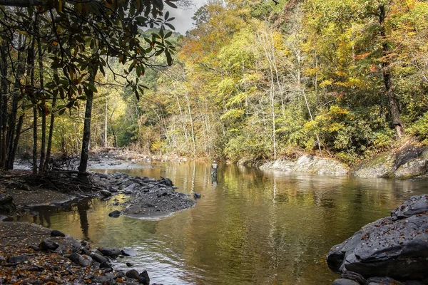 Canton Kuzey Carolina Ekim 2021 Nsanoğlu Renkli Sonbahar Sezonunda Kuzey — Stok fotoğraf