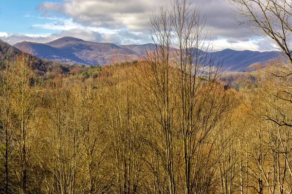 Viste Invernali Delle Blue Ridge Mountains Nella Carolina Del Nord — Foto Stock