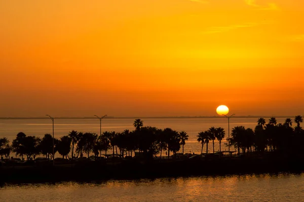 태양은 플로리다주 탬파에 코트니 근처에 파만의 수평선에 — 스톡 사진