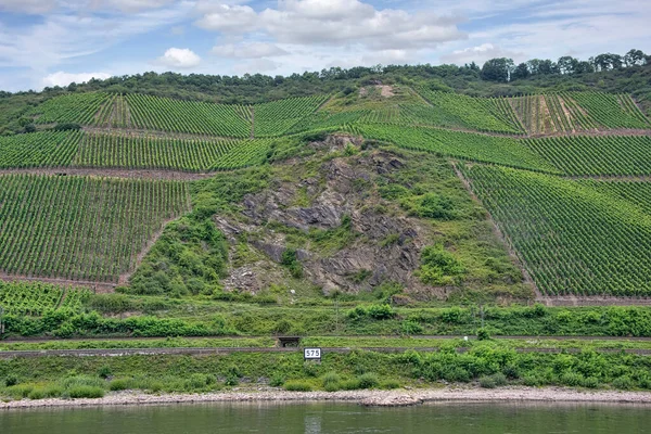 Plusieurs Grands Vignobles Viticoles Sont Situés Long Rhin Allemagne France — Photo