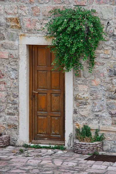 Medieval european architectural style of lush green plant accents and stone and woodwork facade.