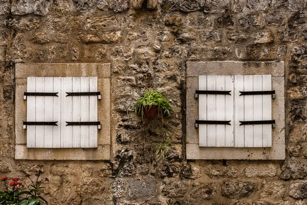 中世纪欧洲建筑立面 古老石器 木制百叶窗 黑色五金和绿色植物 — 图库照片
