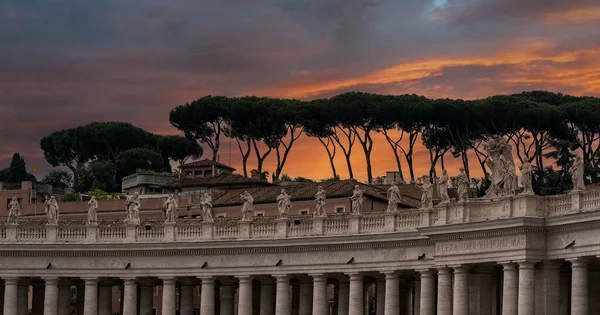 Sun Setting Umbrella Pine Trees Vatican City Rome Italy — Stock Fotó