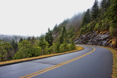 Blue Ridge Parkway, high elevation with fog rolling in, in western North Carolina