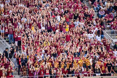 Tallahassee, Florida - 23 Kasım 2013: Florida Eyalet Üniversitesi taraftarları Doak Campbell Stadyumu 'ndaki FSU Seminole maçında Idaho' ya karşı tezahürat yapıyor.