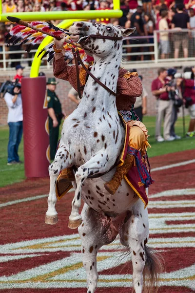 Tallahassee Floride Octobre 2012 Mascotte Université État Floride Chef Osceola Image En Vente