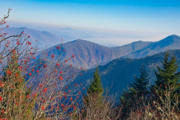 Scénická Krajina Pohoří Blue Ridge Severní Karolíně — Stock fotografie