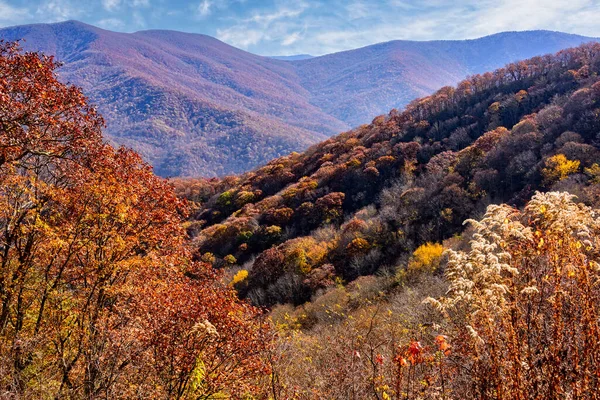 Осенние Цвета Горах Голубого Хребта Северной Каролине — стоковое фото