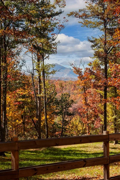 ノースカロライナ州の木製フェンスとカラフルな秋の森 — ストック写真