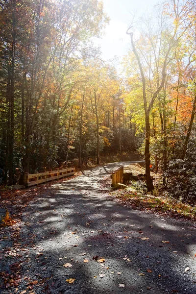 Caminhadas Temporada Outono Através Das Montanhas Oeste Carolina Norte — Fotografia de Stock