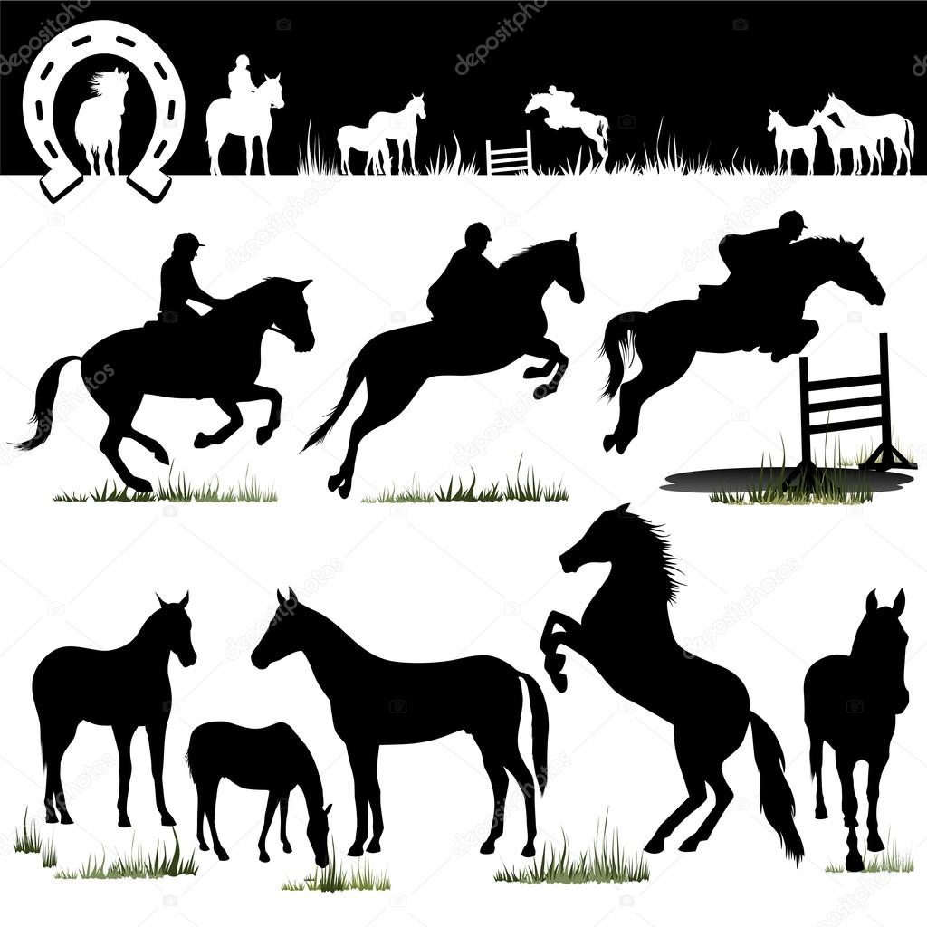 Horse Silhouettes - Vector