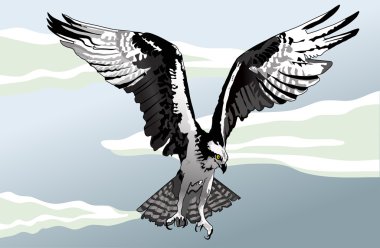 sinsi sinsi keskin baktı