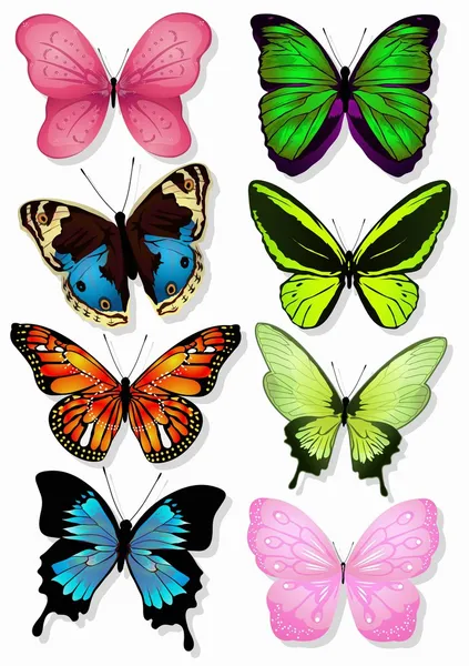 Mariposas Volando con una hermosa — Vector de stock