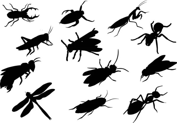 剪影昆虫 — 图库矢量图片