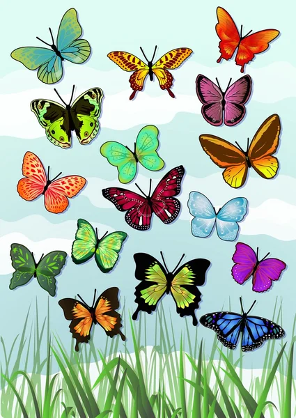 A variety of beautiful butterflies — Stock Vector