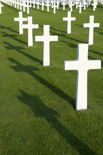 Field with white crosses — Stock Photo, Image