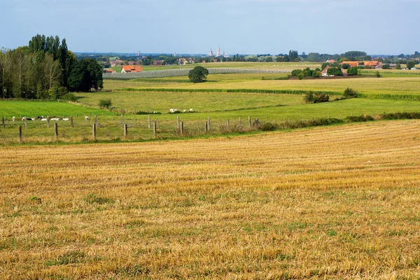 Flandria mezők — Stock Fotó