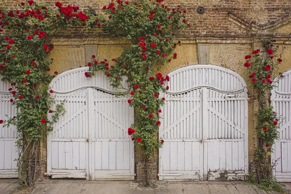 at çiftliğinde ahırların
