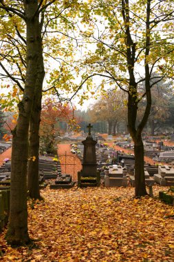 sonbahar mezarlıkta