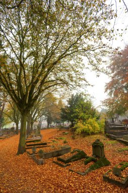 renkli sonbahar mezarlıkta