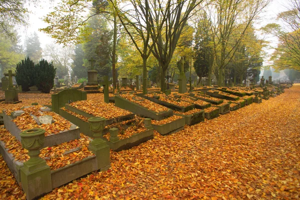 Mañana de otoño 2 — Foto de Stock