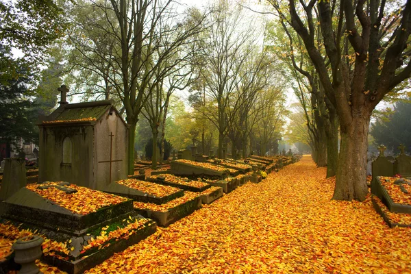 Mañana de otoño — Foto de Stock