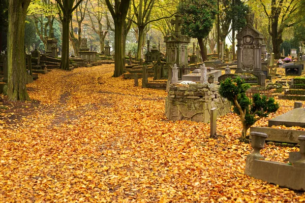 sonbahar mezarlıkta