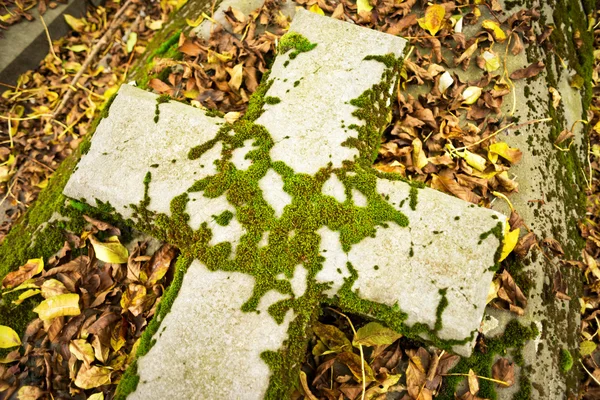 Sonbahar yaprakları ile Mezar