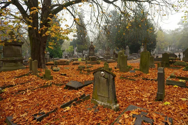 Graven met Herfstbladeren Stockfoto