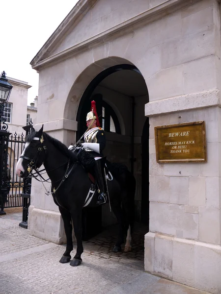 Caballería doméstica en desfile de la Guardia de Caballos —  Fotos de Stock