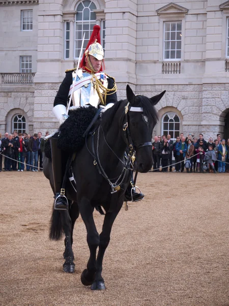 Cavalaria Doméstica no Desfile de Guardas de Cavalos — Fotografia de Stock
