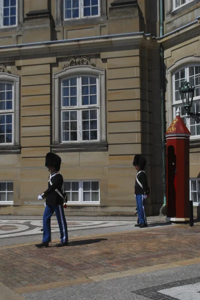 Guardas reais dinamarqueses — Fotografia de Stock