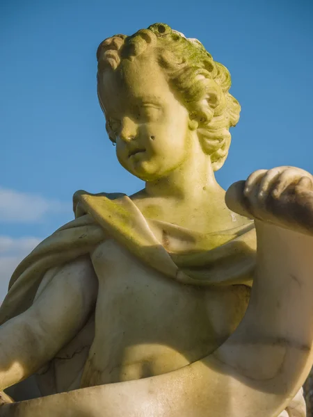 Cherub holding a scroll — Stock Photo, Image