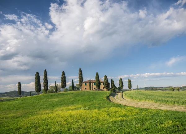 Panoramic view on the Val d'Orcia in Tuscany — Stock Photo, Image
