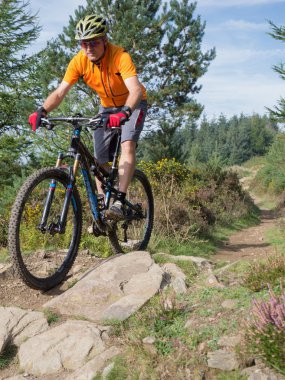 At Binme parkurları Galler'de Mountainbiker