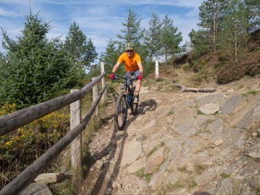 At Binme parkurları Galler'de Mountainbiker