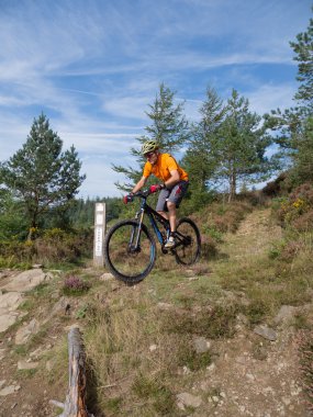 At Binme parkurları Galler'de Mountainbiker