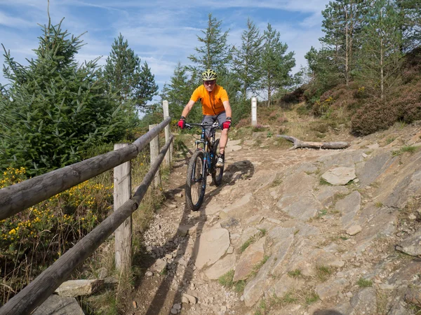 Mountainbiker auf Wanderwegen in Wales — Stockfoto